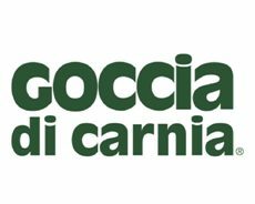 Goccia di Carnia