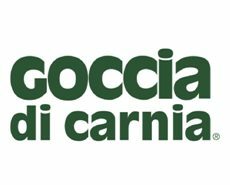 Goccia di Carnia