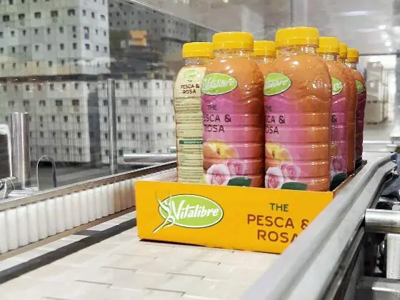 ¿Alguna vez has considerado el envasado de botellas en cartón?